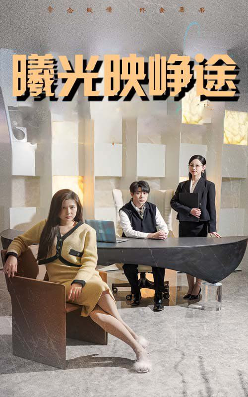 曦光映峥途（错把瓦砾当明珠）