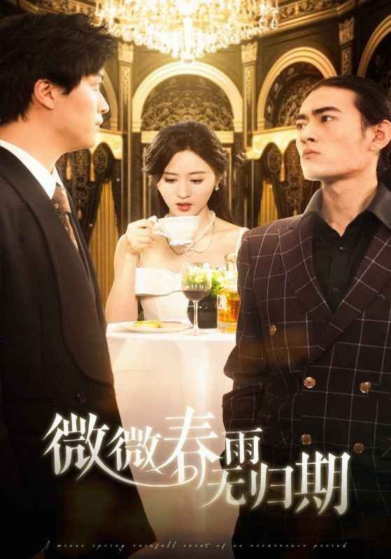 微微春雨无归期