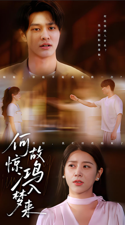 何故惊鸿入梦来