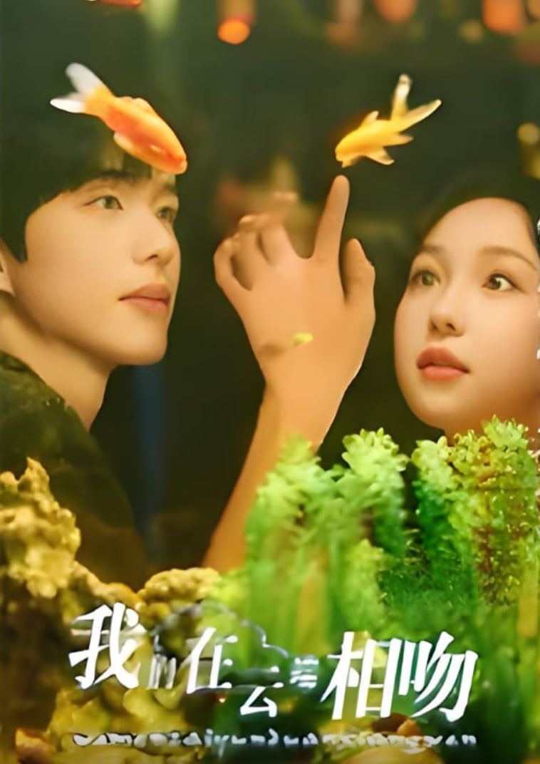 我们在云端相吻