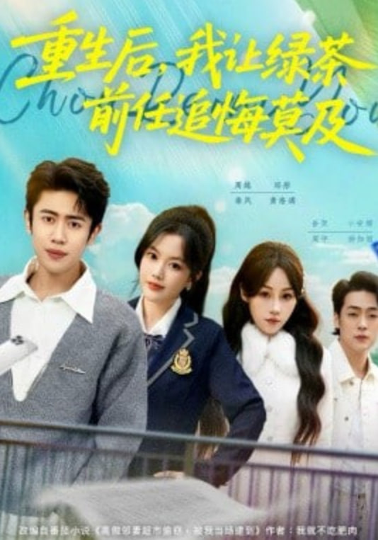 重生后，我让绿茶前任追悔莫及