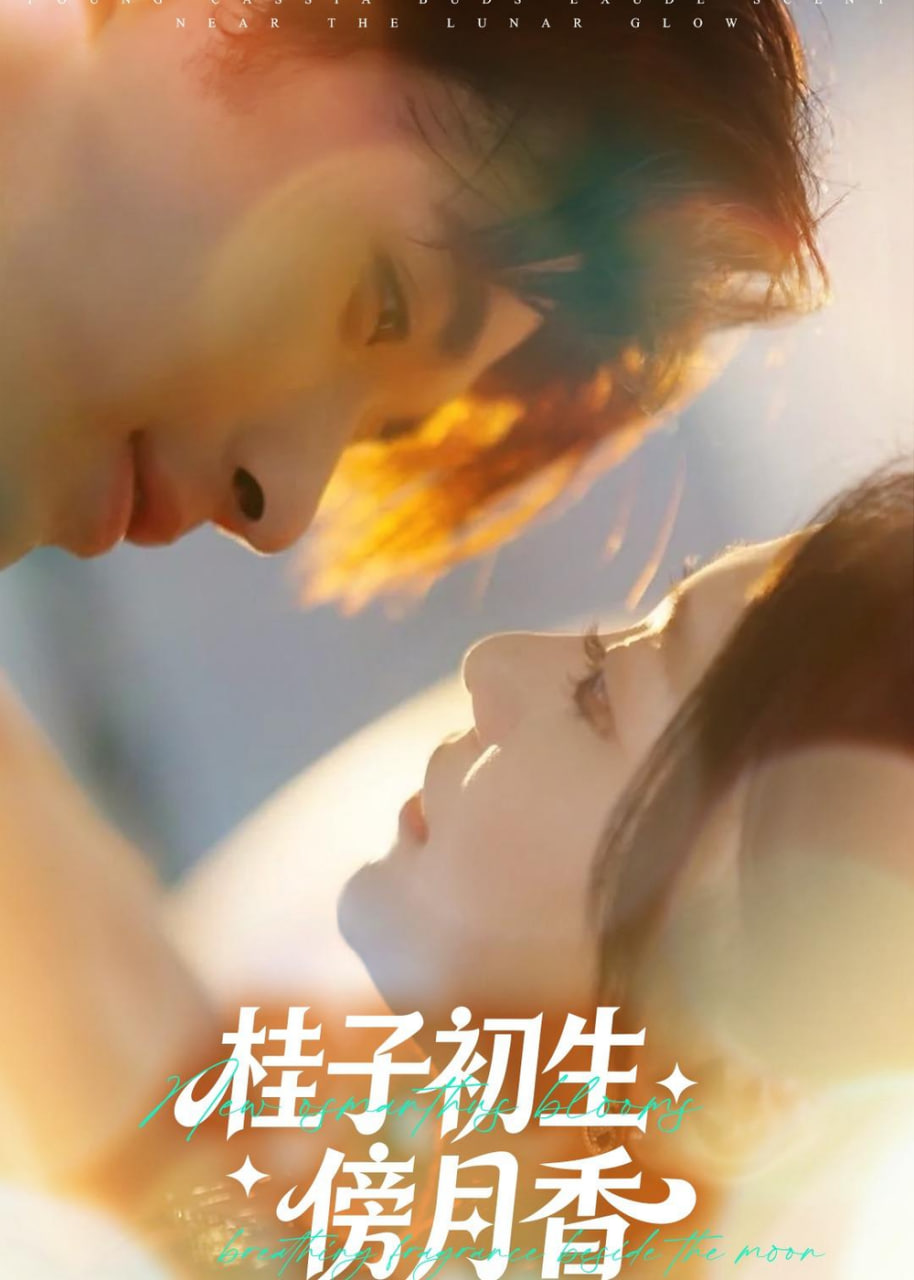 桂子初生傍月香