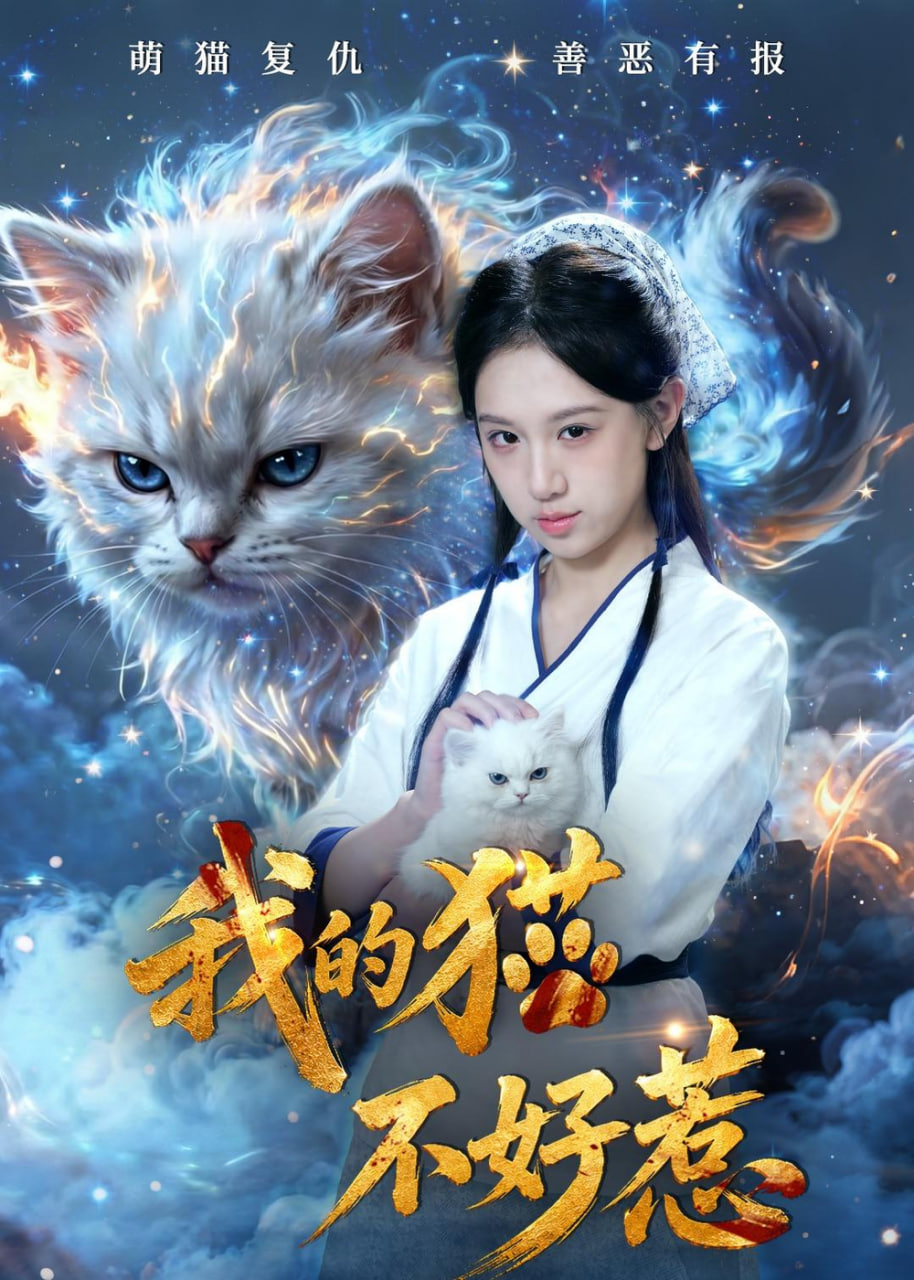 我的猫不好惹