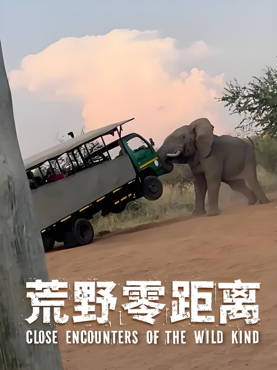 荒野零距离