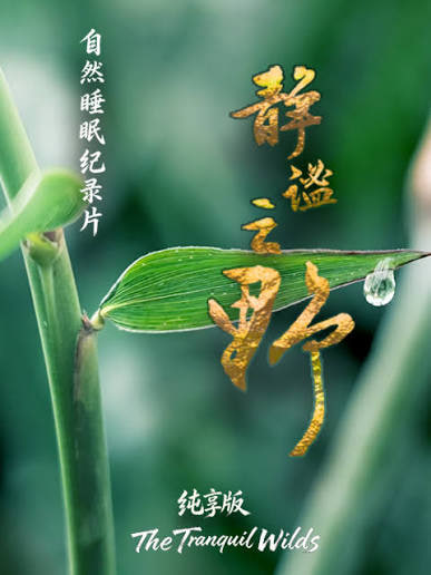 静谧之野 纯享版